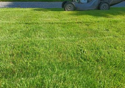 lawncare