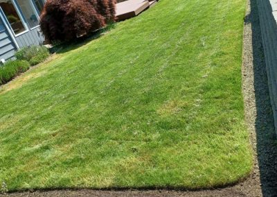 Reliable Landscaping Services