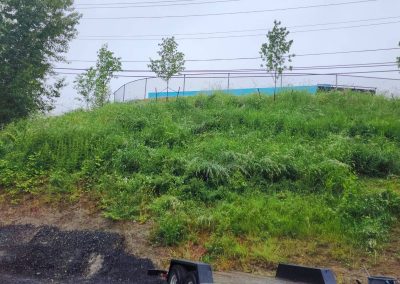 Reliable Landscaping Services