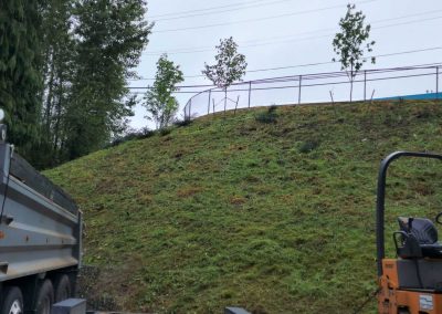 Reliable Landscaping Services