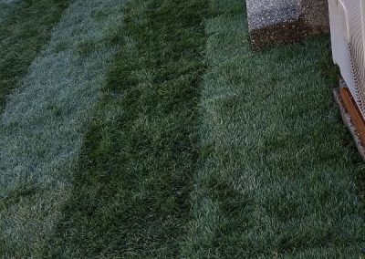 Landscaping Maintenance