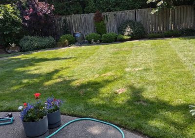 Landscaping Maintenance3