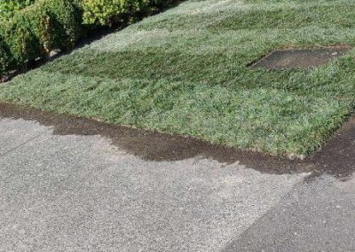 Comprehensive Landscaping Maintenance in Everett, WA