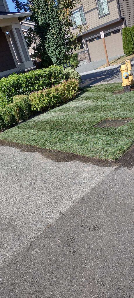 Comprehensive Landscaping Maintenance in Everett, WA 98201