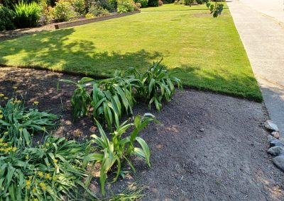 Dependable Landscaping