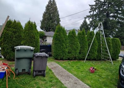 Quality and Affordable Landscaping Company