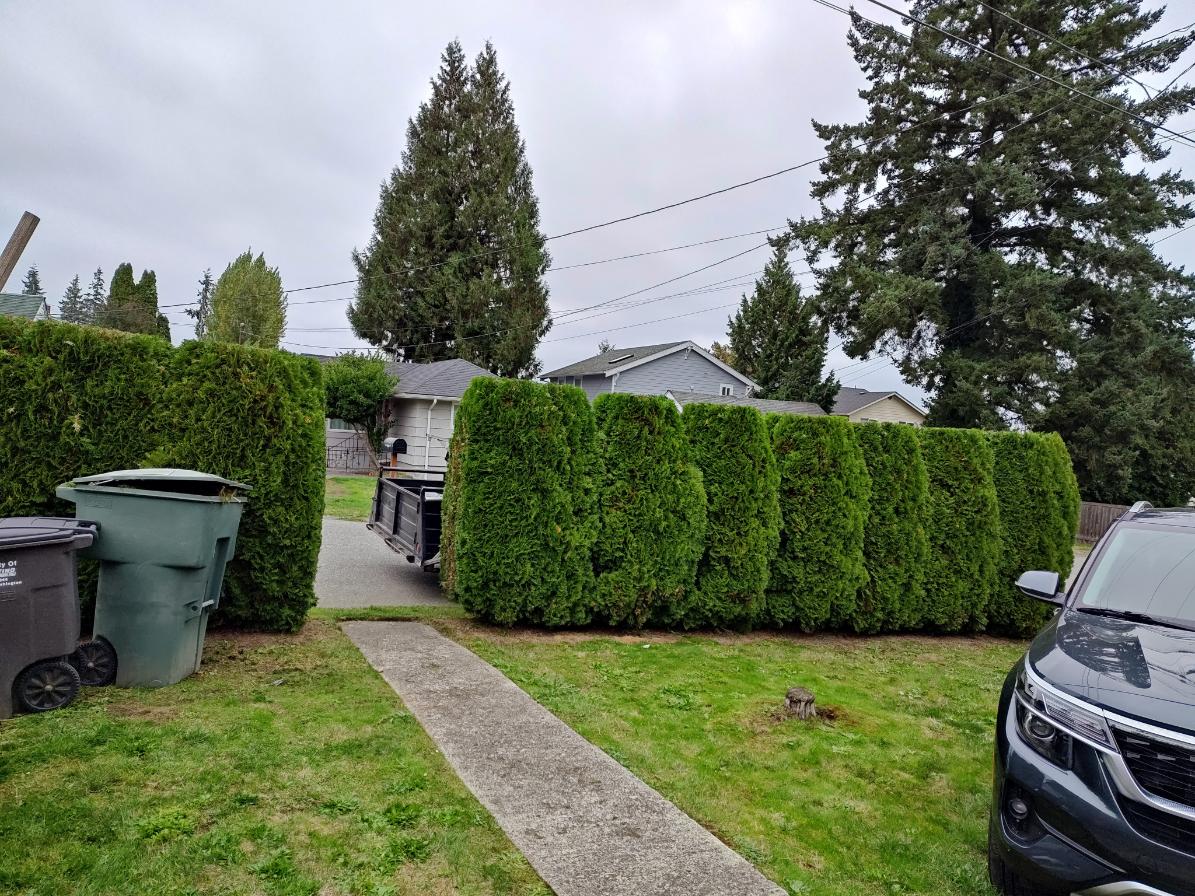 Committed Landscaping Maintenance in Everett, WA 