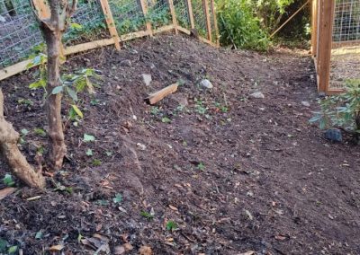 Detailed Landscaping Maintenance in Everett, WA