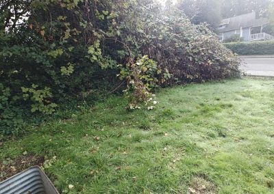 Diligent Landscaping Contractor in Everett, WA