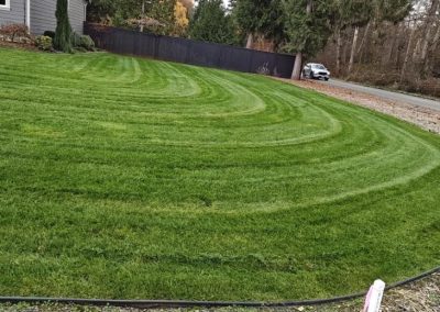 Knowledgeable Landscaping Contractor in Everett, WA
