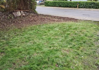 Affordable Landscaper in Everett, WA