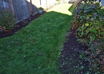 Reliable Landscaper in Everett, WA