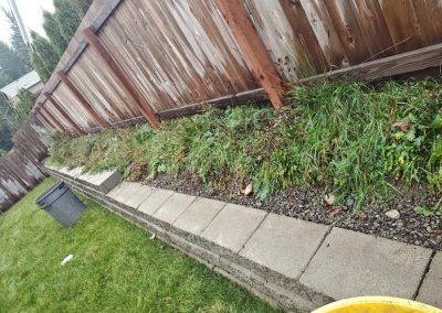 Affordable Landscaping Contractor in Everett, WA