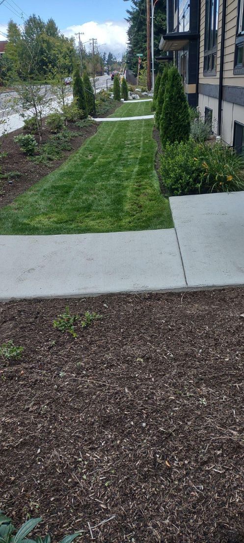 Premium Landscaping Maintenance in Everett, WA 98201