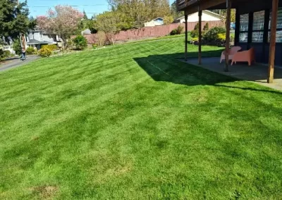Landscaping Contractor