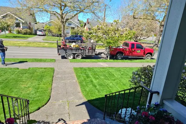 Reliable Tree Trimming Tree Trimming