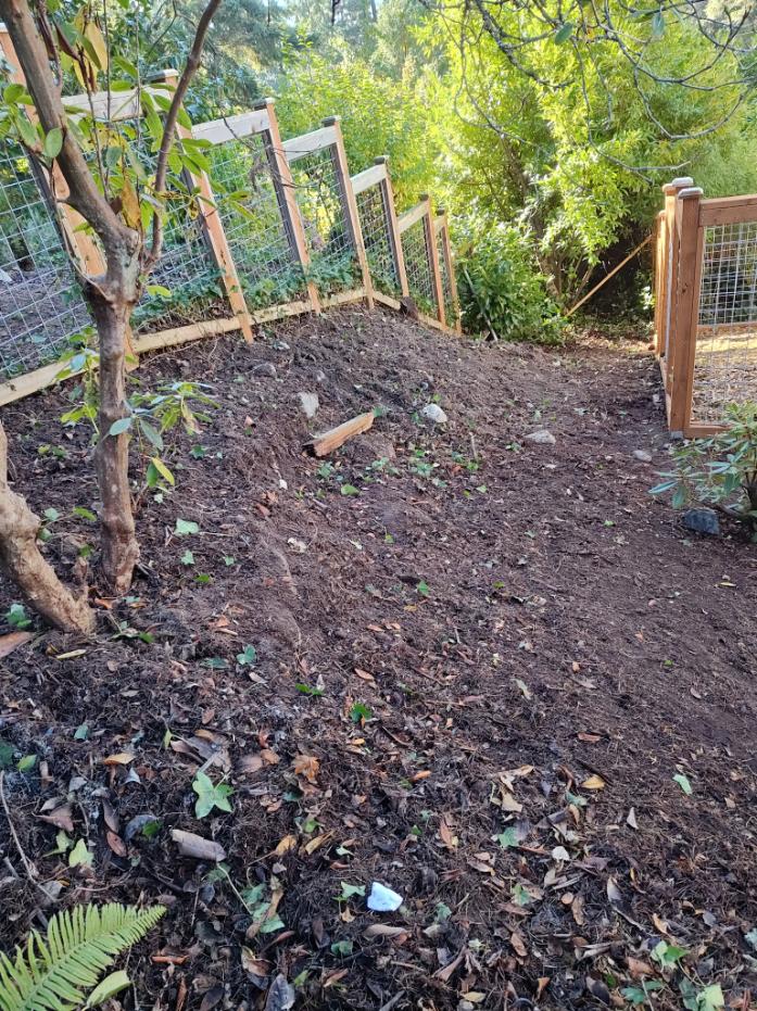 Detailed Landscaping Maintenance in Everett, WA 98201