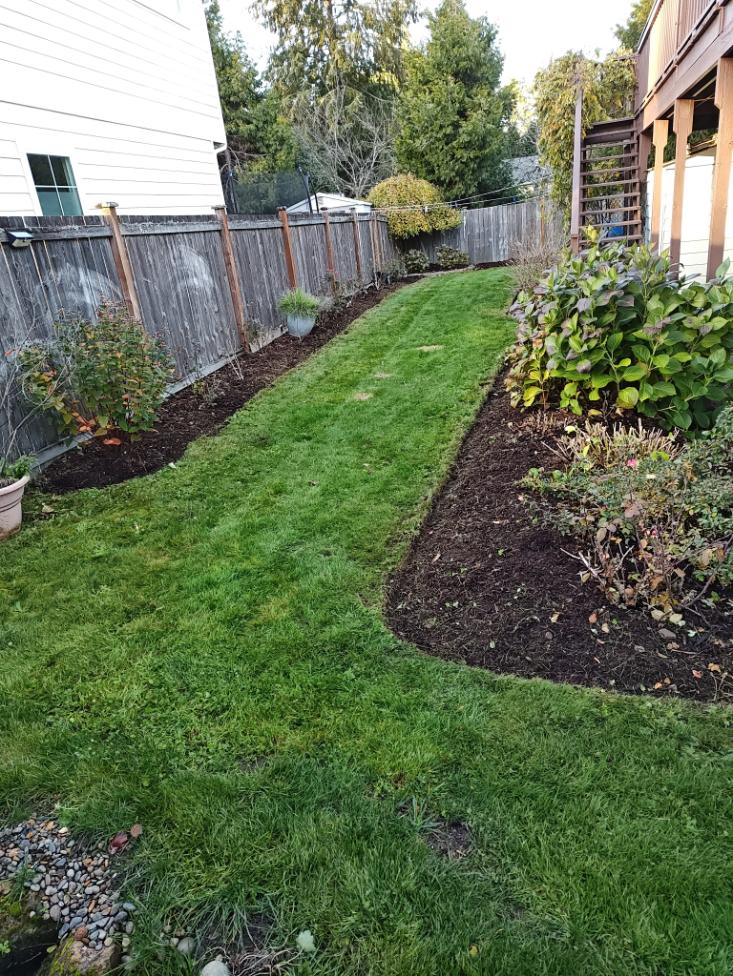 Expert Landscaper in Everett, WA 98201