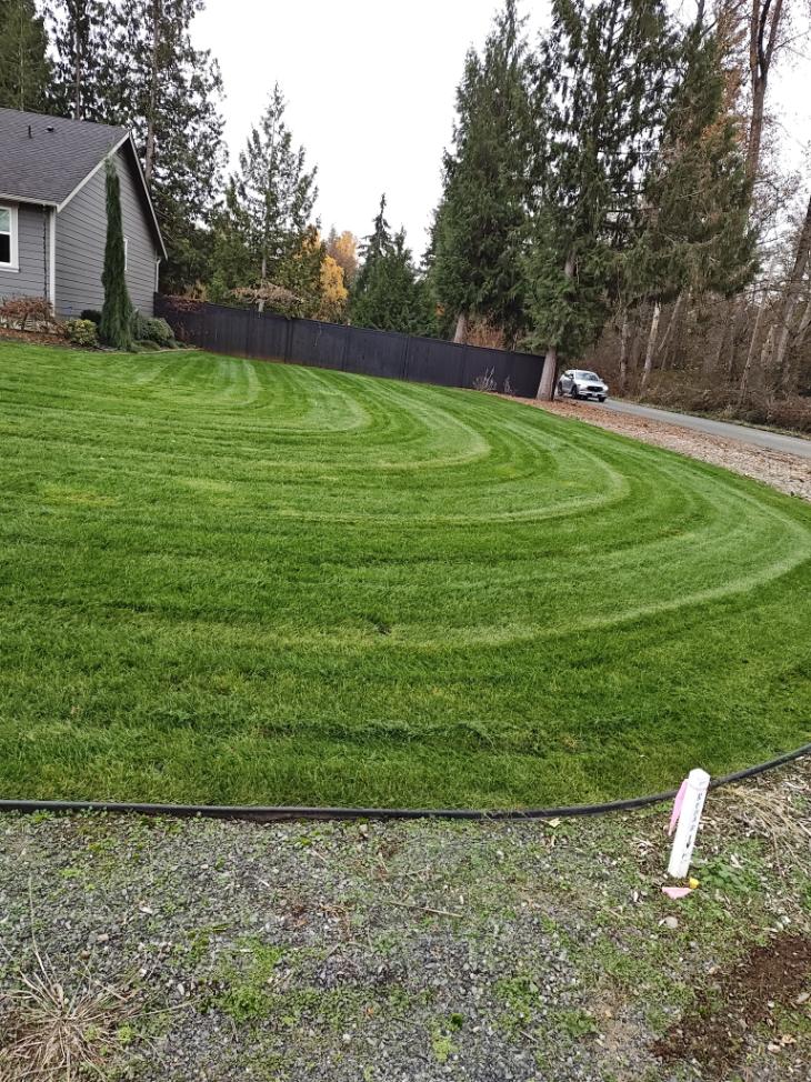 Knowledgeable Landscaping Contractor in Everett, WA 98201
