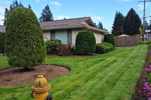 Landscaping in Everett, WA 98201