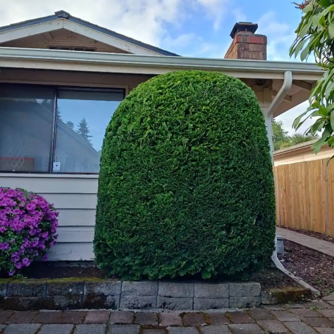 Quality Landscaping in Everett, WA 98201