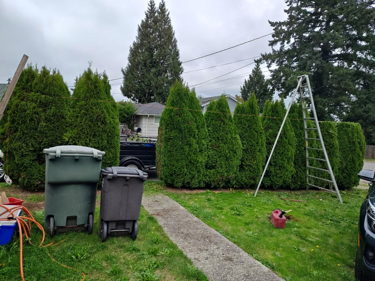 Quality and Affordable Landscaping Company in Everett, WA 98201