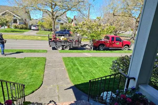 Tree Trimming in Everett, WA 98201